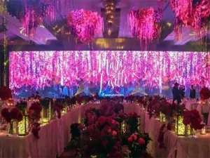 wedding-stage-led-screen---Lively-Stage-Background